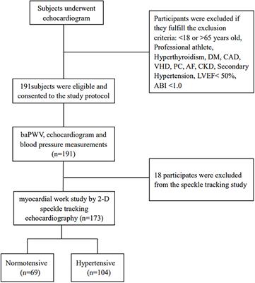 Non-invasive global myocardial work index as a new surrogate of ventricular-arterial coupling in hypertensive patients with preserved left ventricular ejection fraction